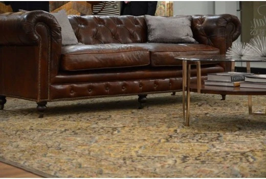 Dalyn Rugs: A Fusion of Style and Comfort for Every Room