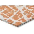 Chantille ACN501 Orange 1'8" x 2'6" Rug