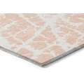 Chantille ACN501 Peach 1'8" x 2'6" Rug