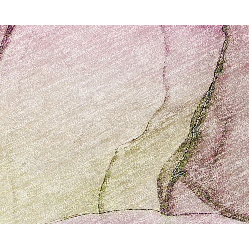 Chantille ACN502 Pink 3' x 5' Rug