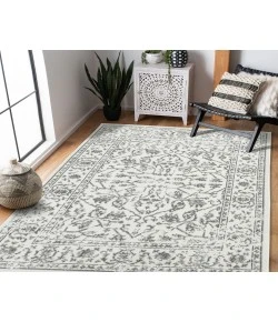 Amer Alpine Fany Light Gray Bordered Rug 6'7" x 9'