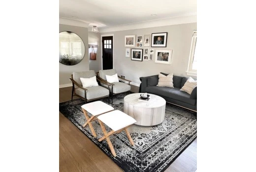 Choosing the Best Rug Color for Your Room to transform look!
