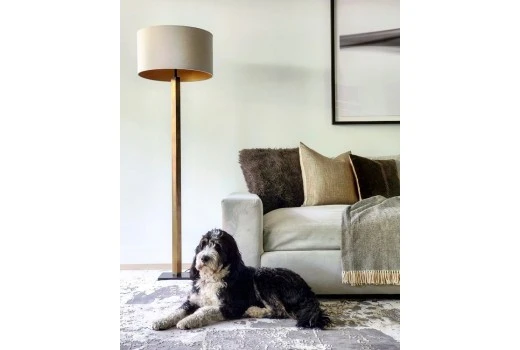 Rugs buying guide if you have pets in your home!