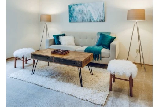 Choose the Right Rug Style for Your Home