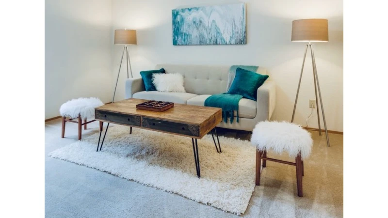 Choose the Right Rug Style for Your Home