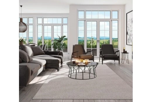 Top 4 Rugs that lifts your home décor