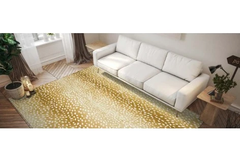 Rugs on a Budget: Affordable Ways to Revamp Your Living Space
