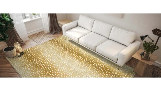 Rugs on a Budget: Affordable Ways to Revamp Your Living Space