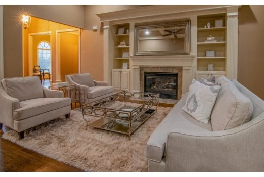 Top Jaipur living rugs decor ideas in 2022