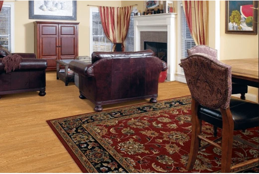 Karastan Rugs: The Perfect Blend of Tradition and Innovation