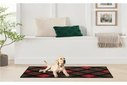Why Nourison Rugs Are Perfect for Pet Owners