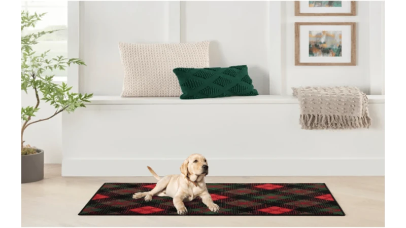 Why Nourison Rugs Are Perfect for Pet Owners