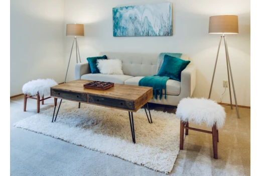 Top 5 Area Rugs Trends for 2024: What’s Hot and How to Style It