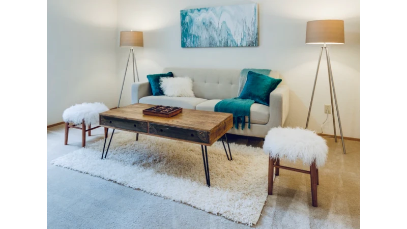 Top 5 Area Rugs Trends for 2024: What’s Hot and How to Style It